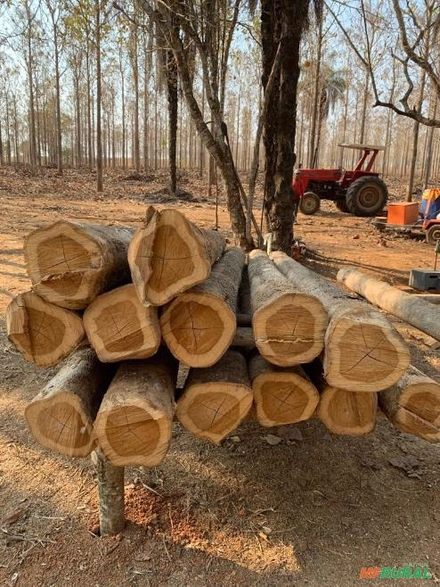 Madeira Teca Serrada Imagem Madeira Teca Serrada
