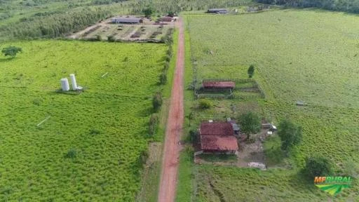 Fazenda em Fernão - São Paulo