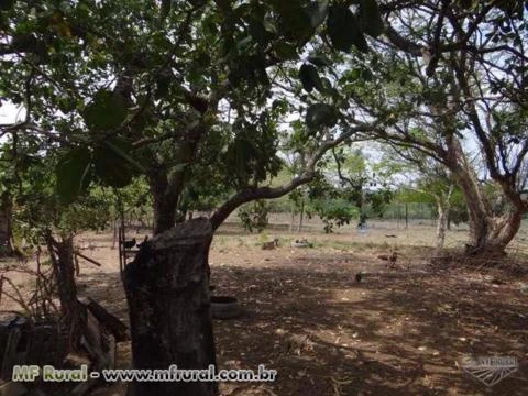 Fazenda em Pedro Afonso-TO com 566 hectares