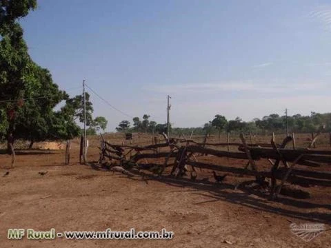 Fazenda em Pedro Afonso-TO com 566 hectares