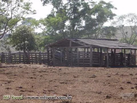 Fazenda em Pedro Afonso-TO com 566 hectares