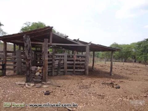 Fazenda em Pedro Afonso-TO com 566 hectares