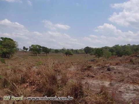 Fazenda em Pedro Afonso-TO com 566 hectares