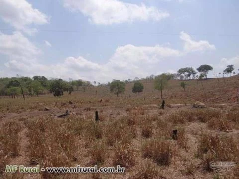 Fazenda em Pedro Afonso-TO com 566 hectares