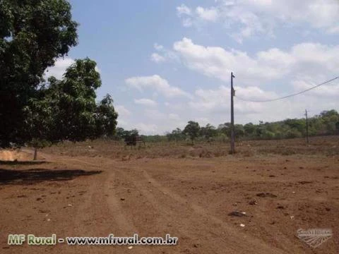 Fazenda em Pedro Afonso-TO com 566 hectares