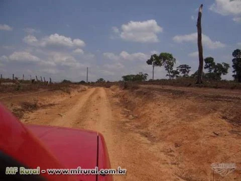 Fazenda em Pedro Afonso-TO com 566 hectares