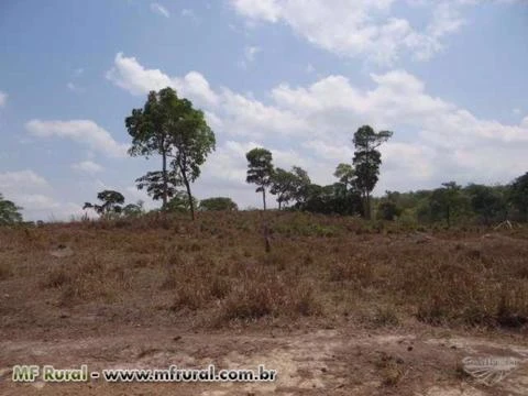 Fazenda em Pedro Afonso-TO com 566 hectares