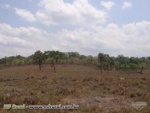 Fazenda em Pedro Afonso-TO com 566 hectares