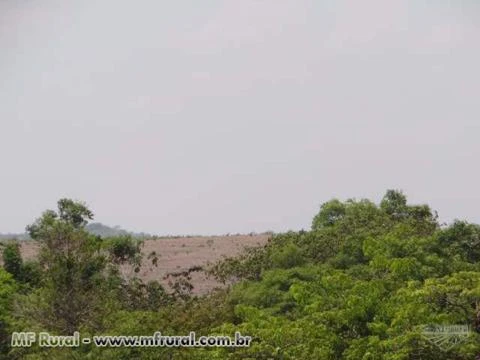 Fazenda em Pedro Afonso-TO com 566 hectares