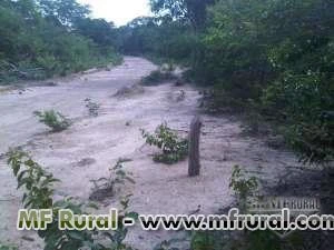 Fazenda para Eucalipto - São Fco do Maranhão