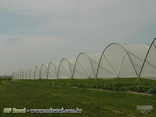 Estufas Agricolas