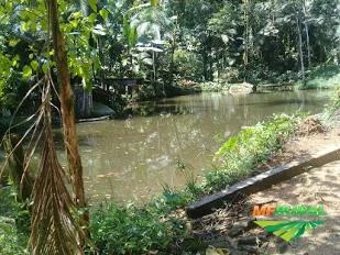 Alugo lotes em fazenda de 162ha