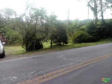 Alugo lotes em fazenda de 162ha