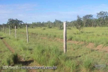 FAZENDA EM COUTO MAGALHÃES-TO