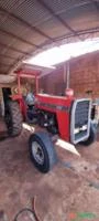 Trator Massey Ferguson 265 4x2 ano 86