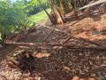 Tombador de cana - abridor de carregador para cana Imagem Tombador de cana - abridor de carregador para cana