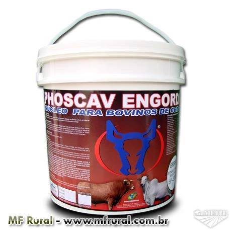 PHOSCAV ENGORDA - 10 kg - Núcleo Mineral P/ Bovinos com MONENSINA - FRETE GRÁTIS PARA TODO O BRASIL