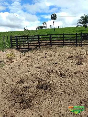 Fazenda em Uruará - PA