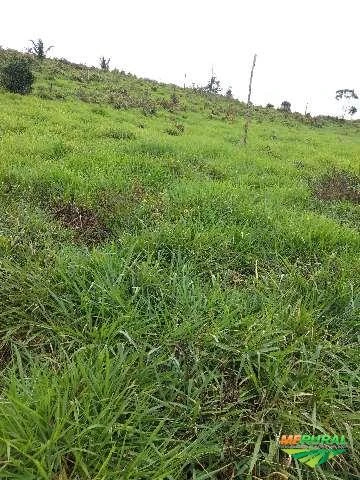 Fazenda em Uruará - PA