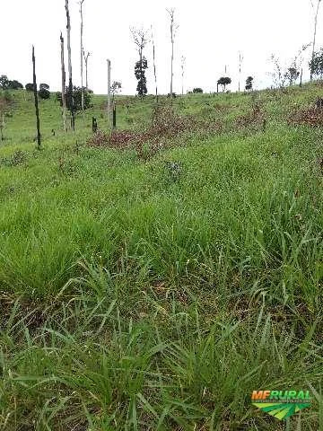 Fazenda em Uruará - PA