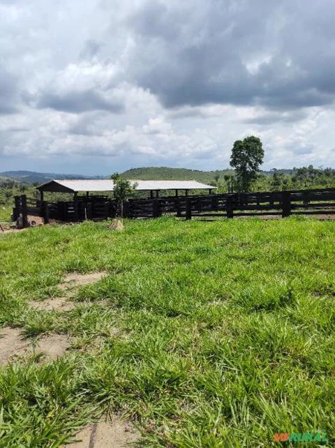 Fazenda em Uruará - PA