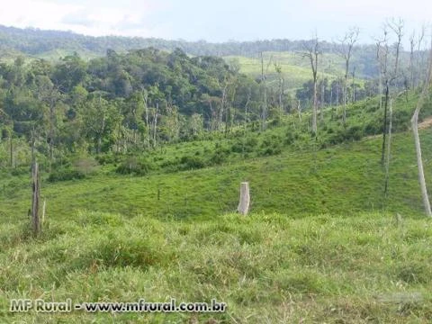 Fazenda em Uruará - PA