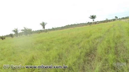 FAZENDA NO MARANHAO