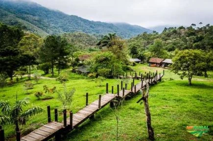 FAZENDA NO SUL DE MINAS