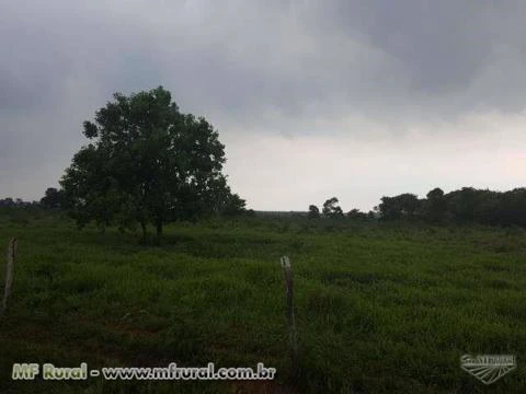 fazenda 1500 hectares Redenção PA