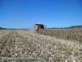 FAZENDA PLANTANDO SOJA EM GUARANTÃ DO NORTE-MT  A VENDA