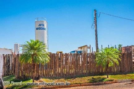 Imagem Eucalipto Tratado para cercas e currais Imagem Eucalipto Tratado para cercas e currais