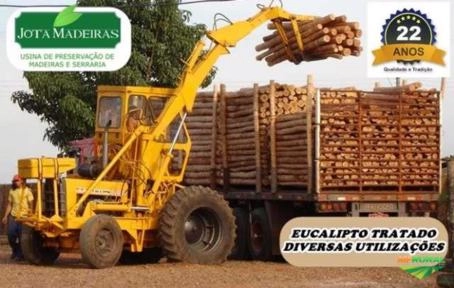Eucalipto Tratado para cercas e currais Imagem Eucalipto Tratado para cercas e currais