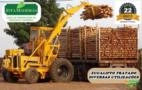 Eucalipto Tratado para cercas e currais Imagem Eucalipto Tratado para cercas e currais