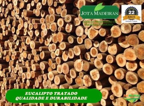 Imagem Eucalipto Tratado para cercas e currais Imagem Eucalipto Tratado para cercas e currais
