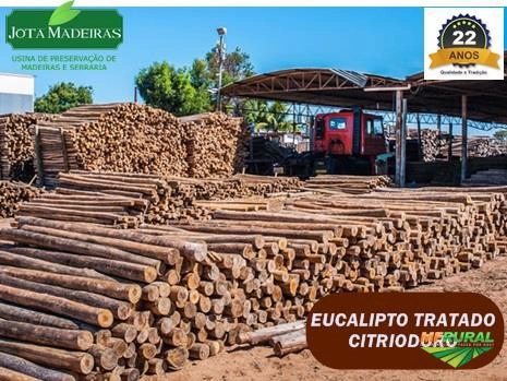 Imagem Eucalipto Tratado para cercas e currais Imagem Eucalipto Tratado para cercas e currais