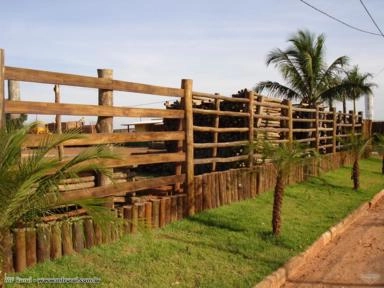 Eucalipto Tratado para cercas e currais