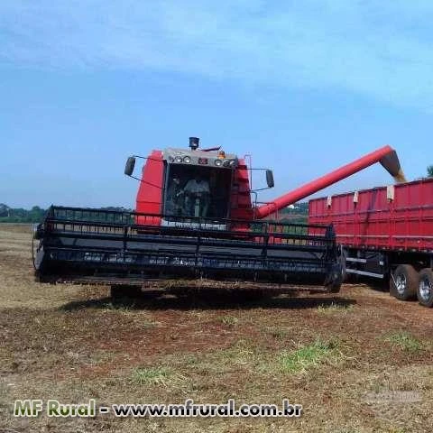 Terceirização de colheita MF32 SR