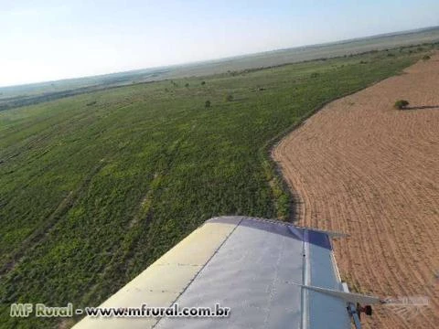 FAZENDA PARA AGRICULTURA E PECUARIA