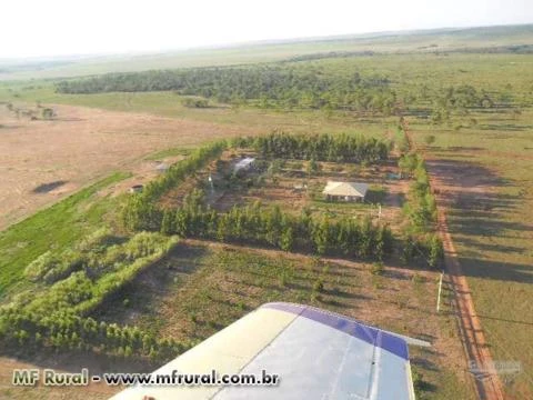 FAZENDA PARA AGRICULTURA E PECUARIA