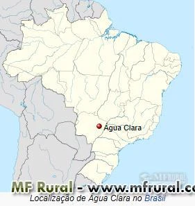 Fazenda 319,44 Hectares em ÁGUA CLARA-MS