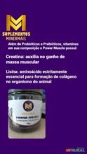 Suplementos para Equinos (mineral e vitamínico)