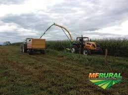 PRESTAÇÃO DE SERVIÇOS AGRÍCOLAS