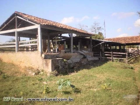 Vendo Propriedade Rural Miracema/RJ