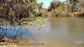 FAZENDA EM TOCANTINS DIANOPOLIS ESPECIAL PARA PSICULTURA