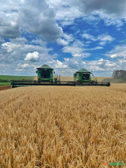 Colheita terceirizada de soja, milho, trigo, cevada e feijão ( PR - SC - RS ) Imagem Colheita terceirizada de soja, milho, trigo, cevada e feijão ( PR - SC - RS )