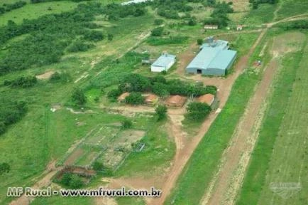 Imagem Máquina beneficiadora de arroz Imagem Máquina beneficiadora de arroz
