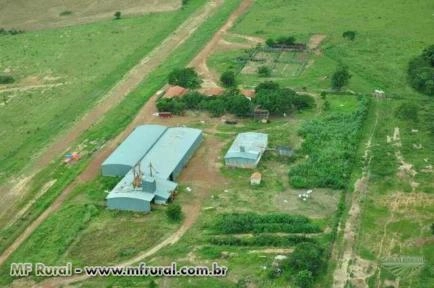 Imagem Máquina beneficiadora de arroz Imagem Máquina beneficiadora de arroz