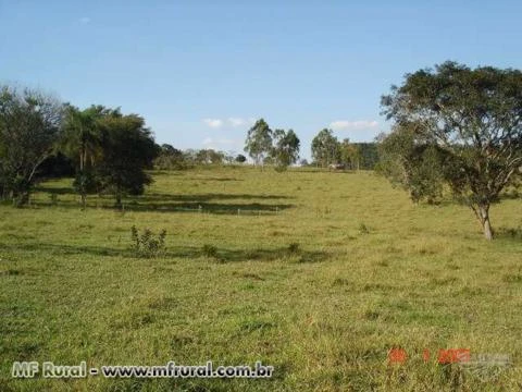 Sitio 57 Hectares Frente Asfalto em Brotas-SP