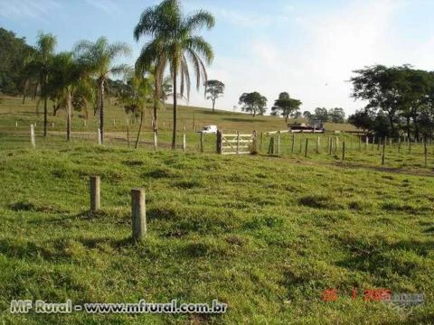 Sitio 57 Hectares Frente Asfalto em Brotas-SP