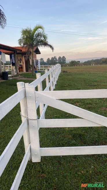 TINTAS PARA CURRAIS TAMBOR DE 200 LITROS COR BRANCO